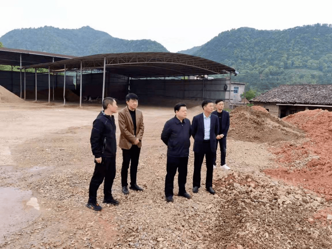 督察整改进行时 | 峡江县环委会双主任"齐上阵"调研指导生态环境保护