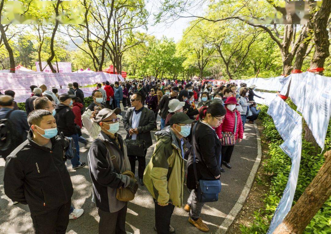 千佛山相亲大会今日开幕!最新现场资讯来了,网友:请假