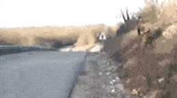 爆笑gif图:妹子,你这关系有点乱啊,真羡慕你