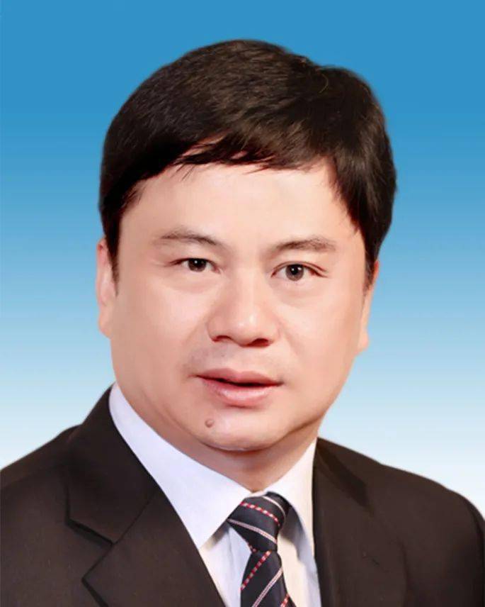 马泽江任宜昌市副市长,代理市长_武汉市