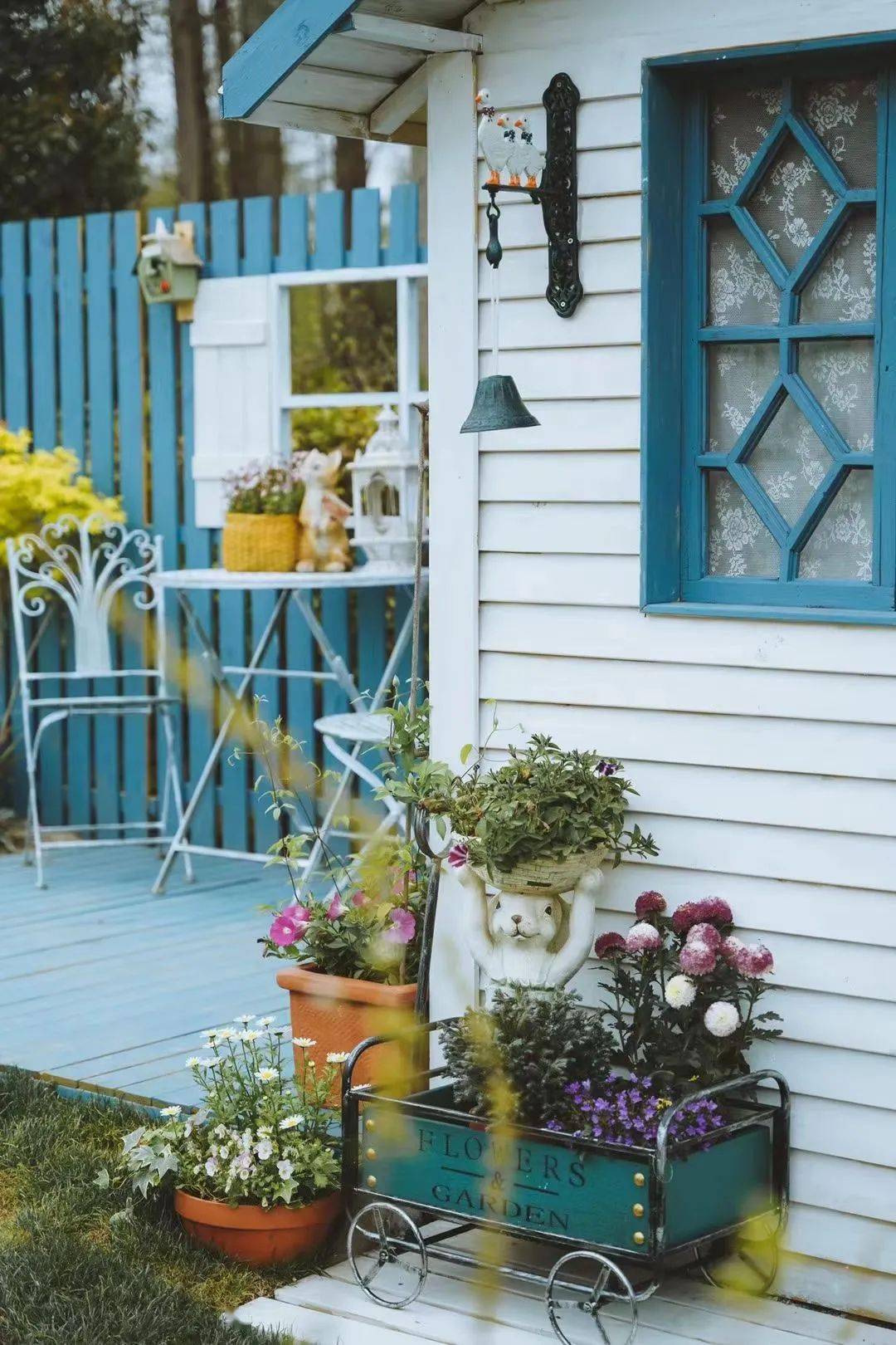 小花园的中间是一座蓝白色的小木屋,小屋的四周用各式各样的草花点缀