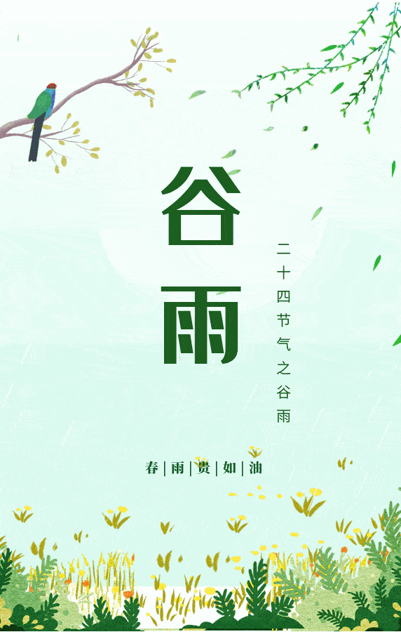 572_900 竖版 竖屏