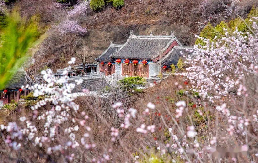 畅游京郊 | 醉美山路 春花遍野 来昌平开启一场观光骑行之旅吧