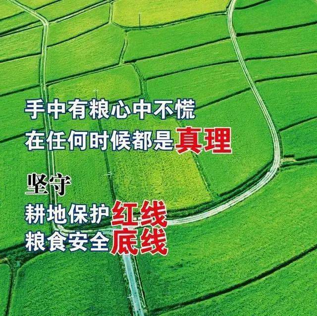 坚决防止耕地的"非农化"和"非粮化,要对耕地占补平衡以及耕地保护中