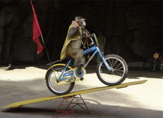 无锡大马戏震撼来袭,来领门票了!