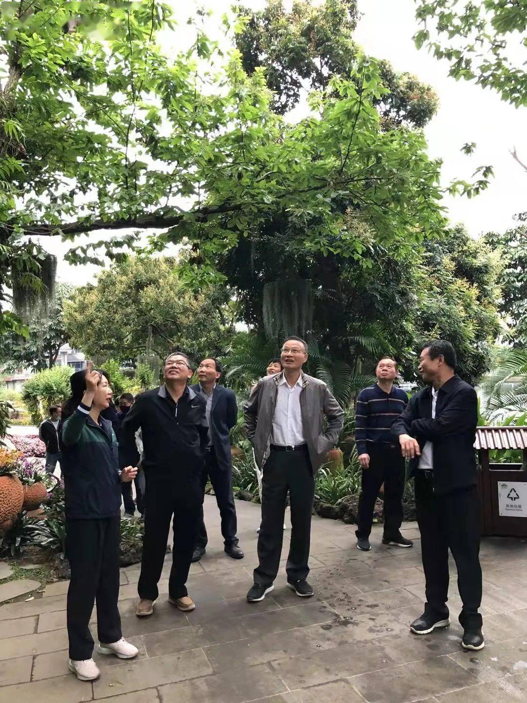 张兆民副主席率调研组赴贵州广西调研森林林分结构以及森林碳汇情况