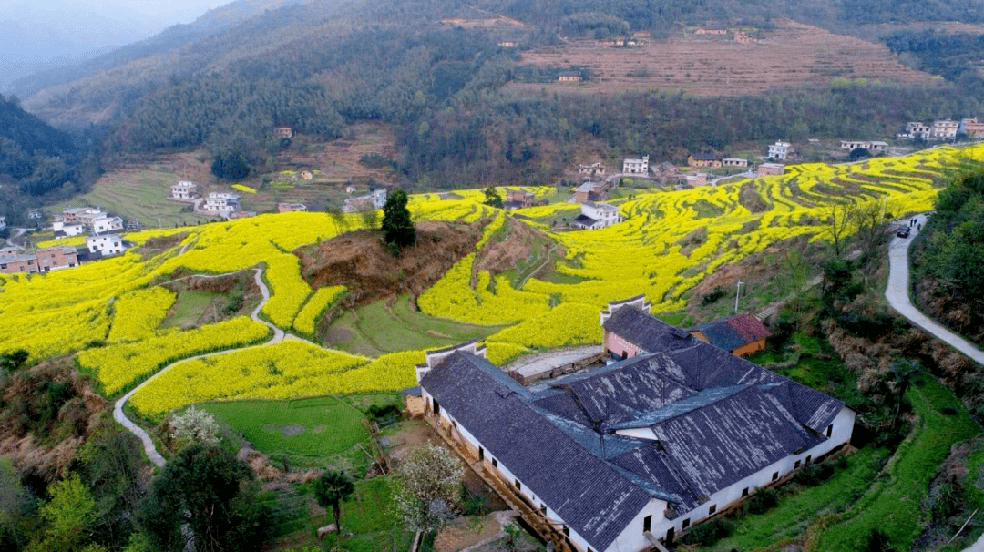 芦溪县描绘田园好风光织就乡村新生活