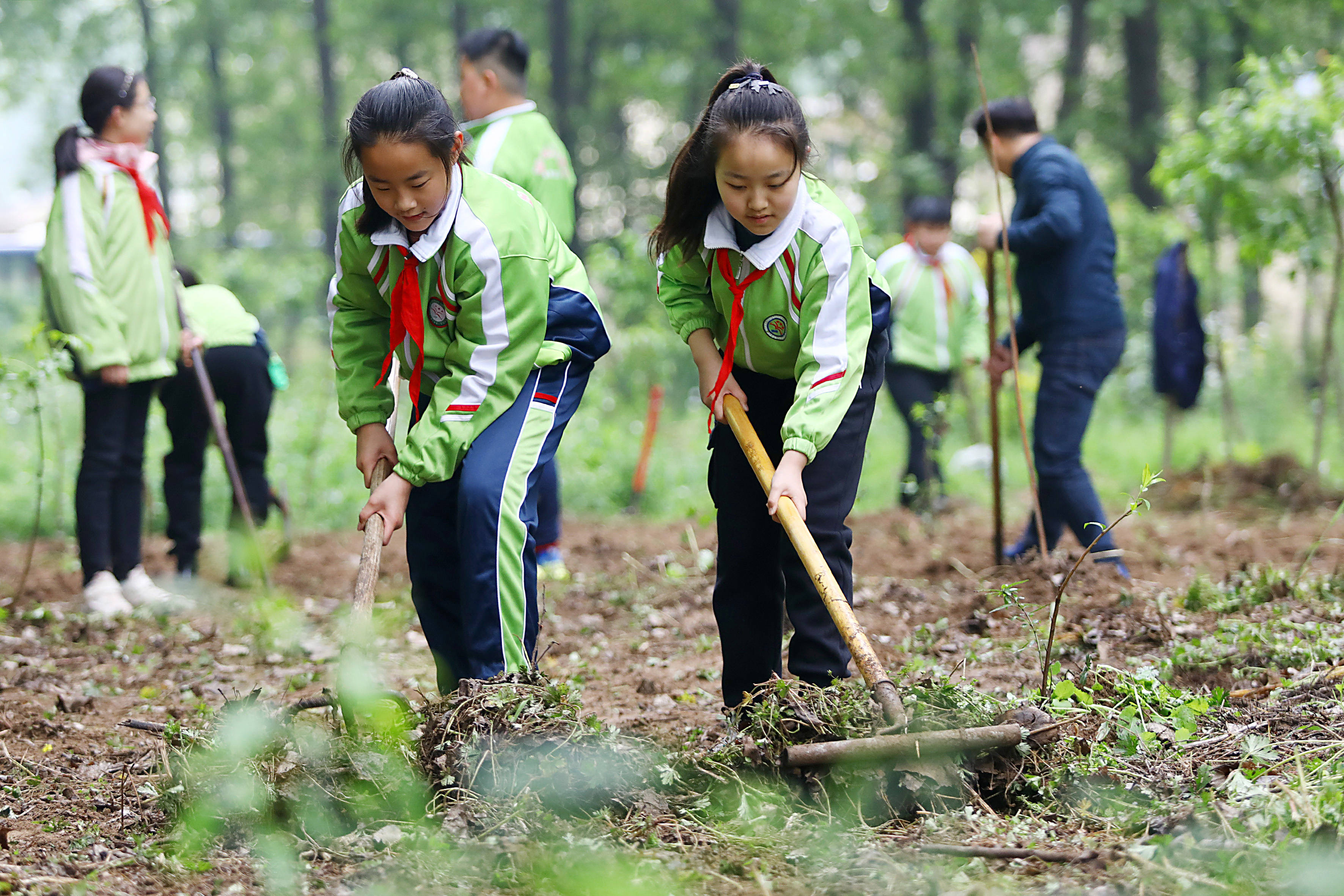 户外劳动课堂 学习劳动知识 4月25日,淮北市第三实验小学的学生在体验