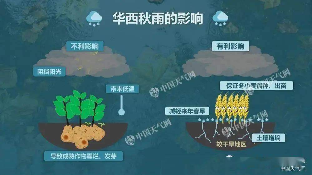 巴山夜雨呢?两者有什么区别?再说华西秋雨和巴山夜雨的秘密!