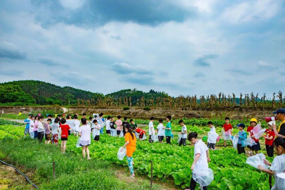 了解农学知识,从种植到采摘,体验不一样的农家乐,在劳动中感受大自然