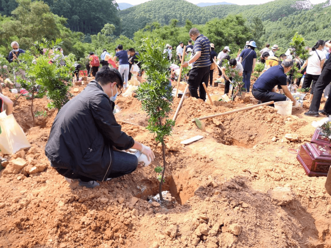 让生命回归自然更合镇举办2021年骨灰植树活动