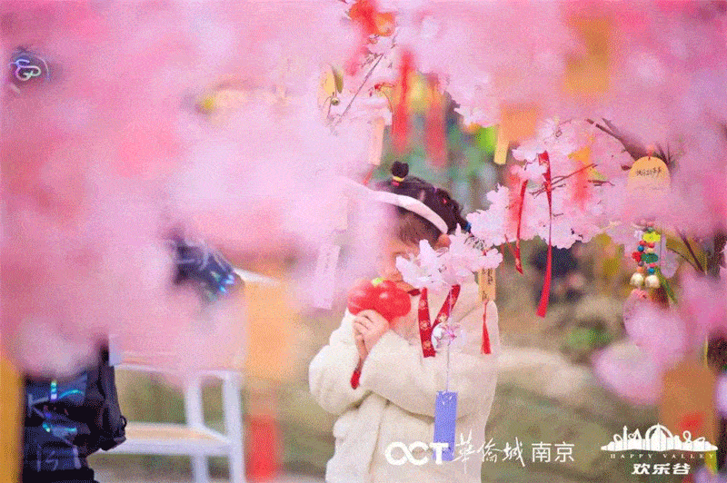 将春天的甜美与温柔定格一大片粉嫩樱花正在