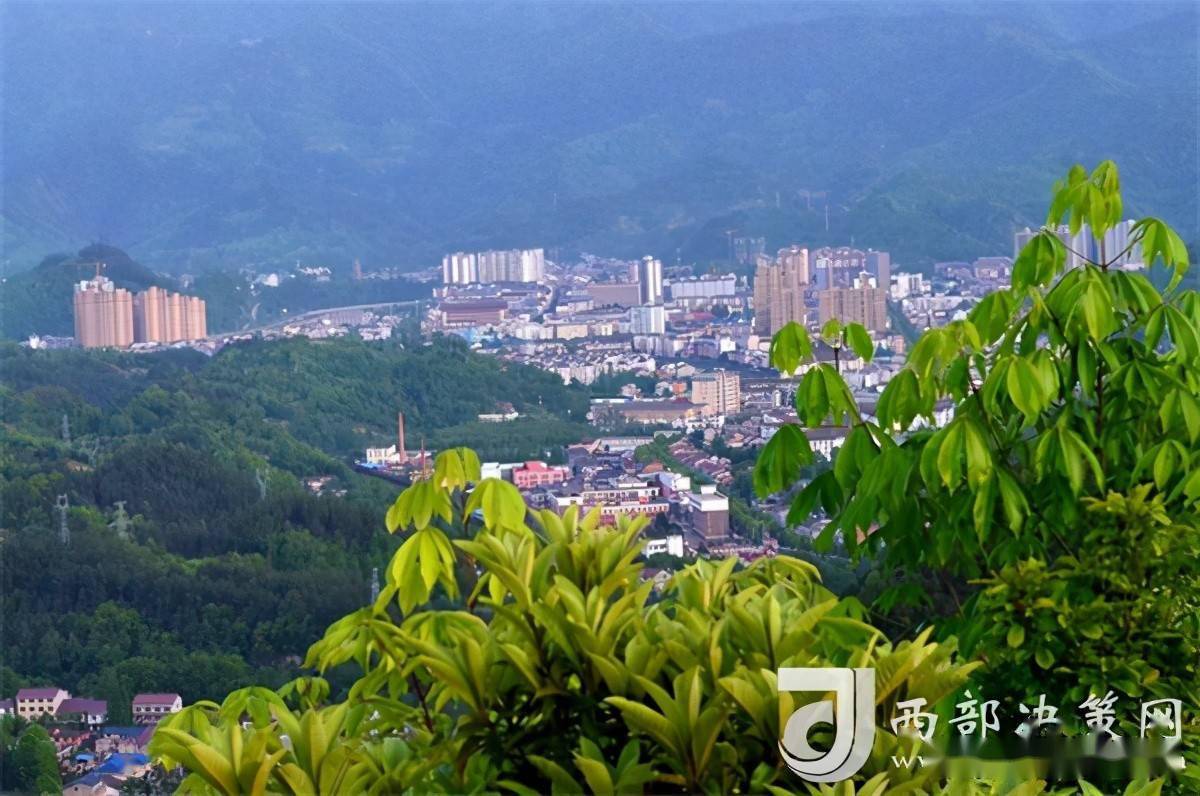 汉中宁强县姬家山:芍药花开醉游人