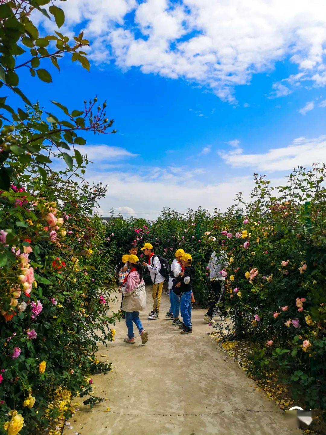 花园村景区狂撒春风福利!开启全家趣玩之旅
