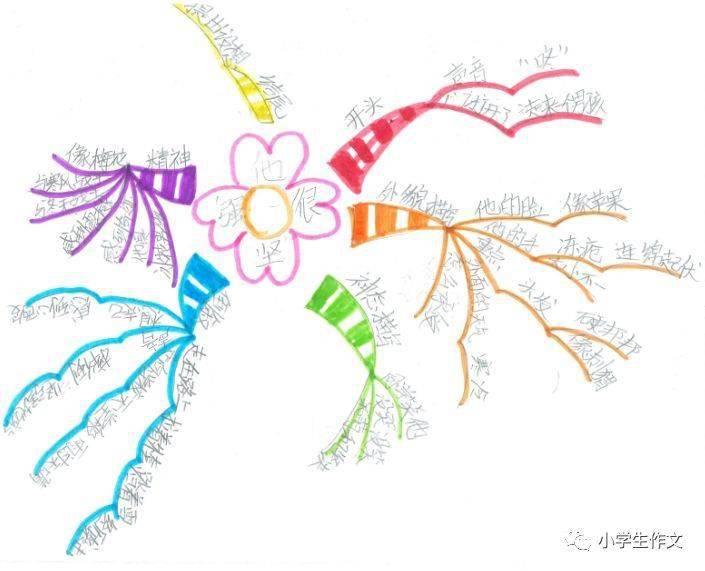 优秀作文:思维导图改写《秋思》