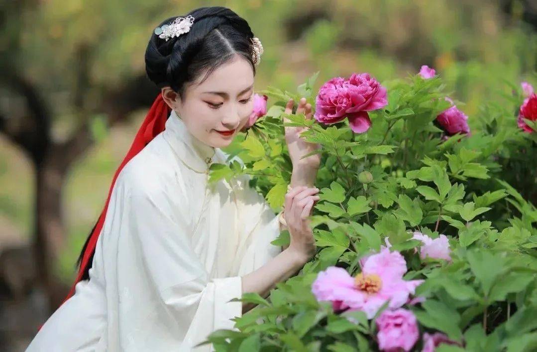 穿上汉服你就是牡丹仙子, 感受穿越历史时空, 回到"花开时节动京城"