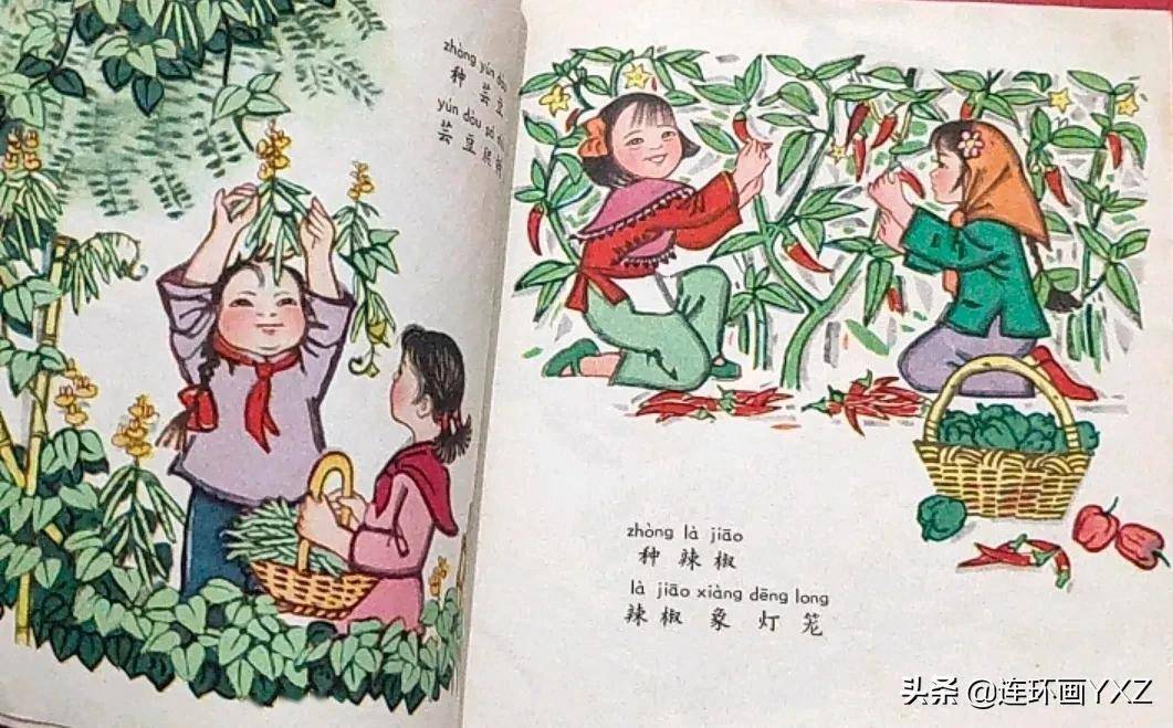 60年代精品连环画《种菜忙》,大缺本,绘画精美,与连友