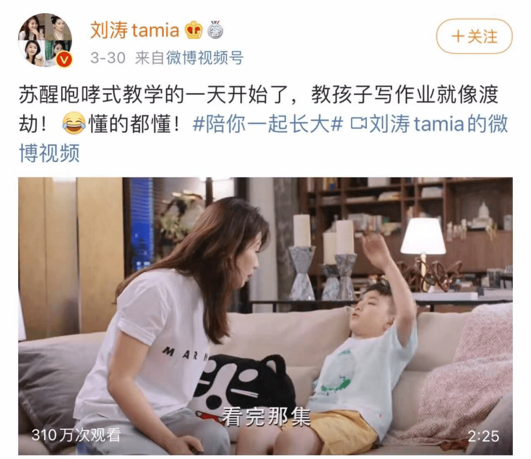 67刘涛佟大为人设崩塌逼疯一对父母陪孩子写作业就够了