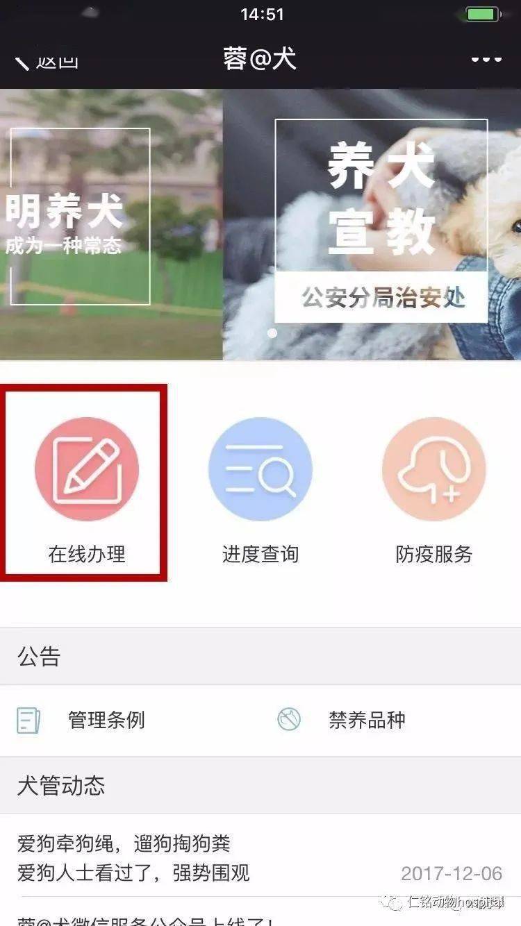 电子犬证网上办理指南(附操作流程)