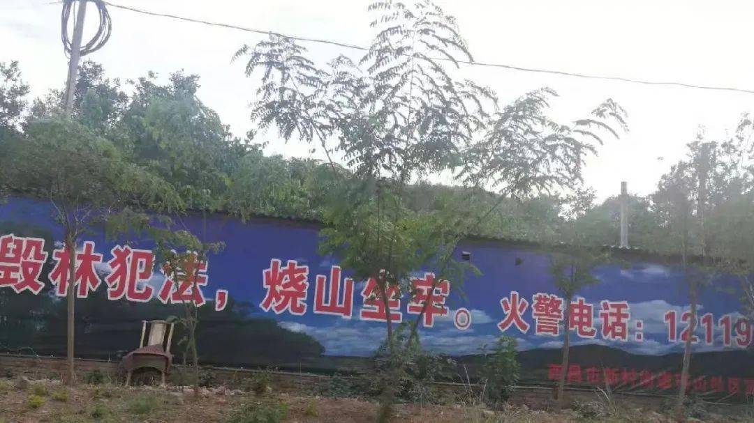 投票啦!寻找"最牛"凉山森林草原防灭火宣传标语大赛开始投票