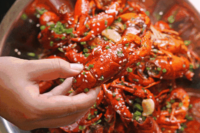 麻辣小龙虾,麻辣肥哈,酱香田螺,羊肉串10串,蒜瓣肉10串,烤翅尖.
