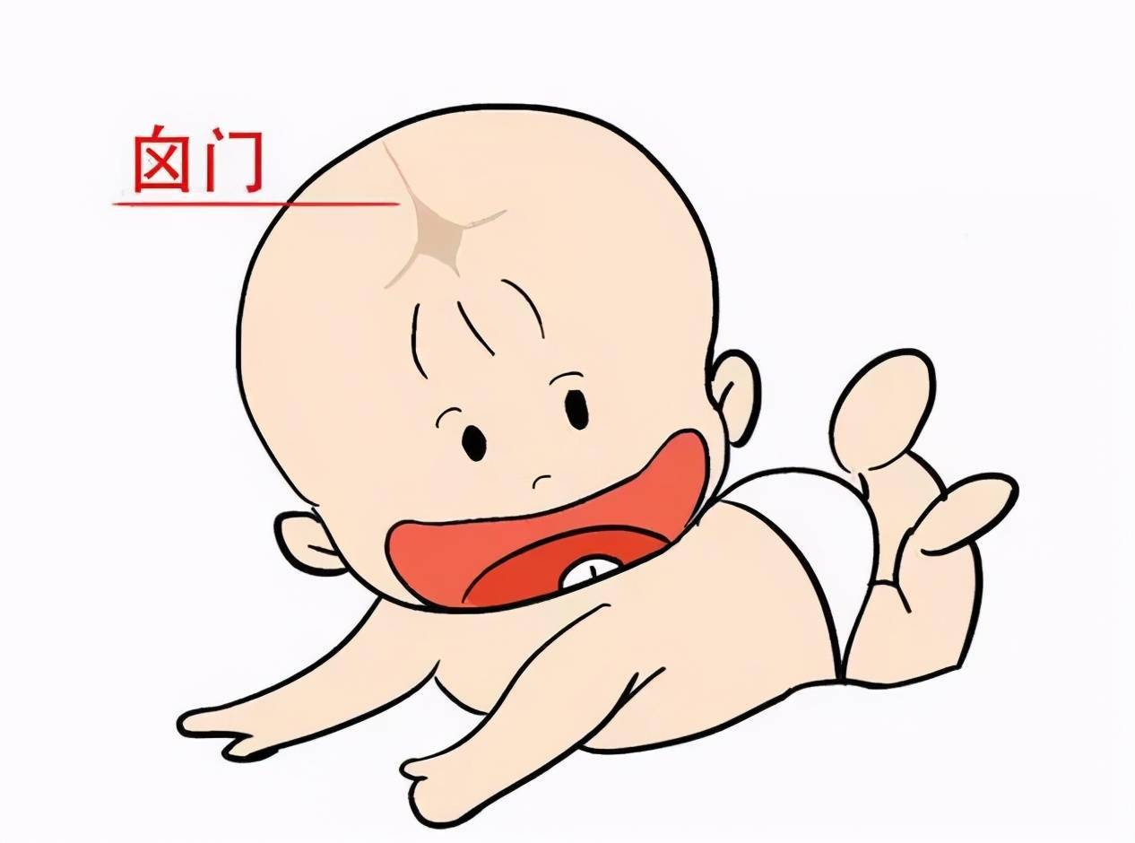 尤其是孩子一岁之前,孩子卤门部位是软的,随着孩子呼吸还能看到有跳动