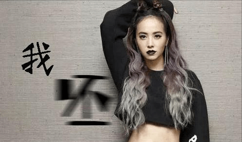 ladygaga抄袭蔡依林蔡依林2006年的专辑审美如此超前也太牛了