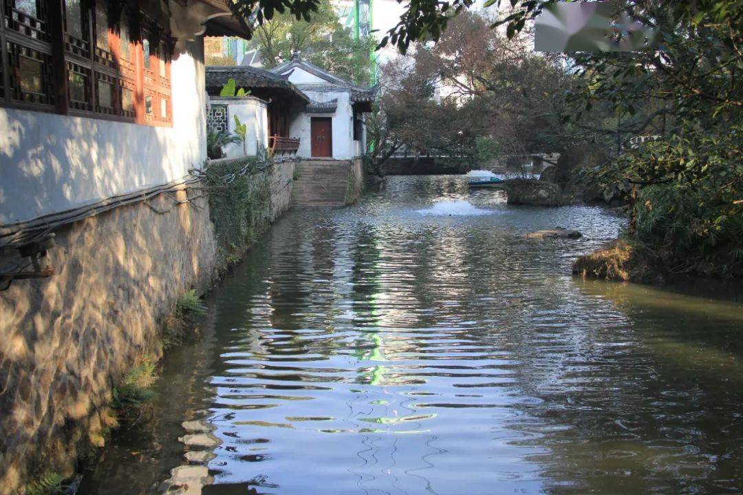 谢池,哗哗的流水声 打破了晨曦中的宁静 目光穿过积谷山的灌木树林