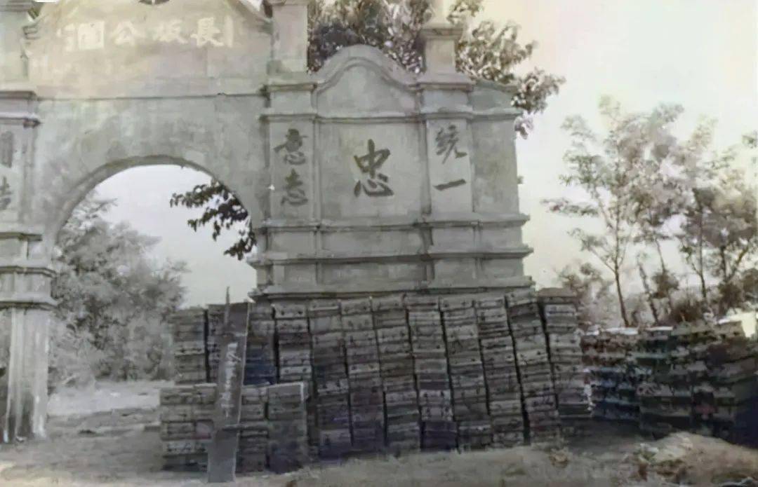 上游先遣军引导下挥师当阳,在当阳城西的长坂坡歼灭了吴佩孚部一个团