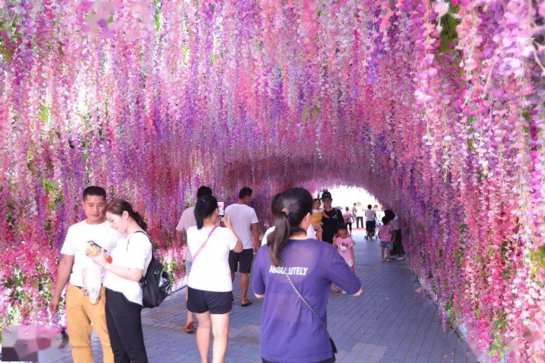 2021东莞(石碣·横滘)紫藤花海灯光美食节,5月14日,盛大开幕!