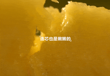 火爆全国的徐闻