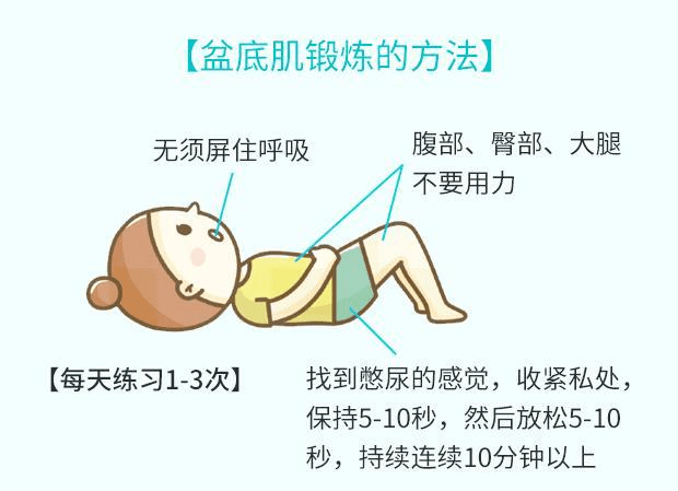 矩形脉冲电流刺激盆底肌,特别是肛提肌的支配神经,经神经反射增强盆底