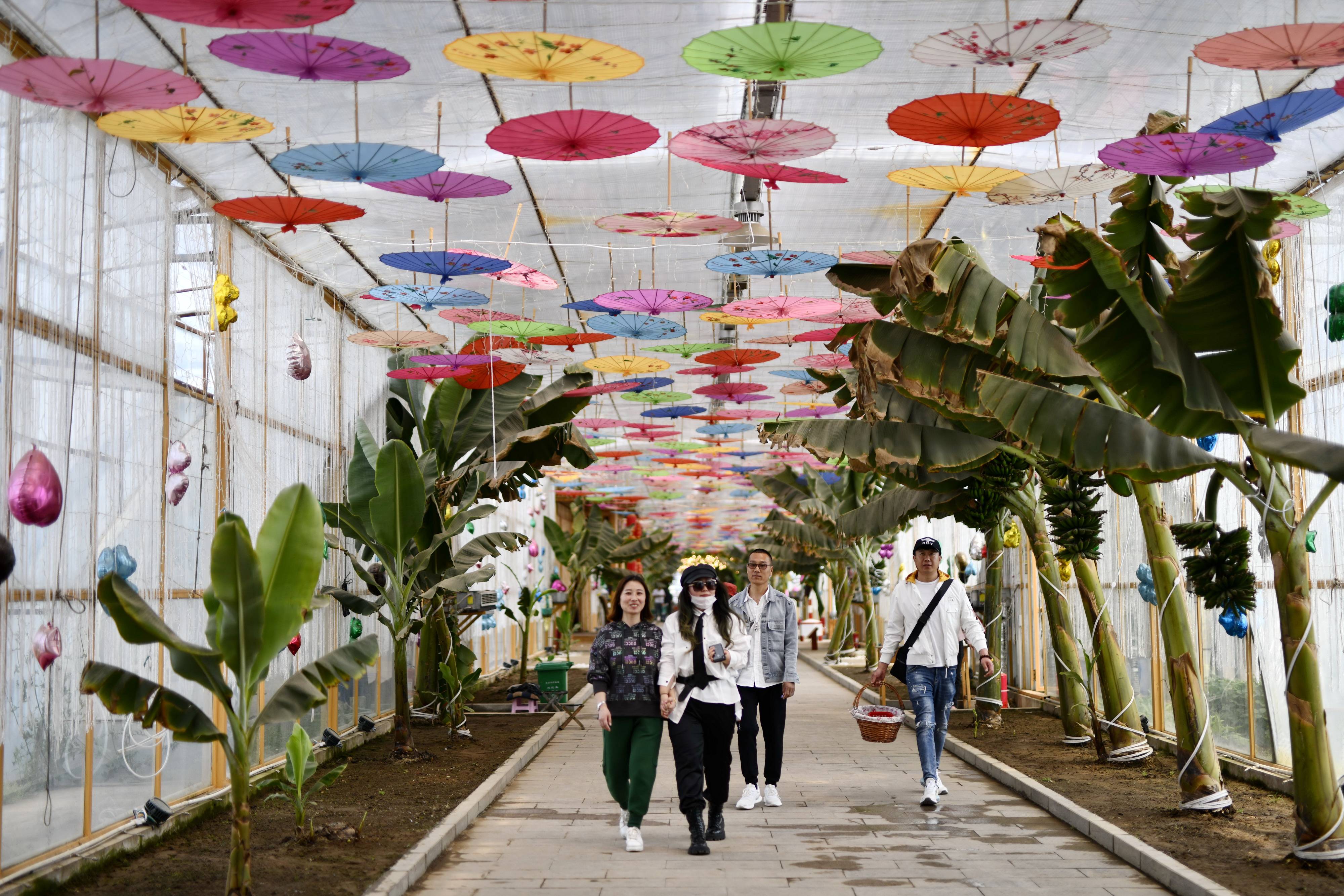 5月11日,游客在唐山市丰润区西那母生态旅游度假村内游览.