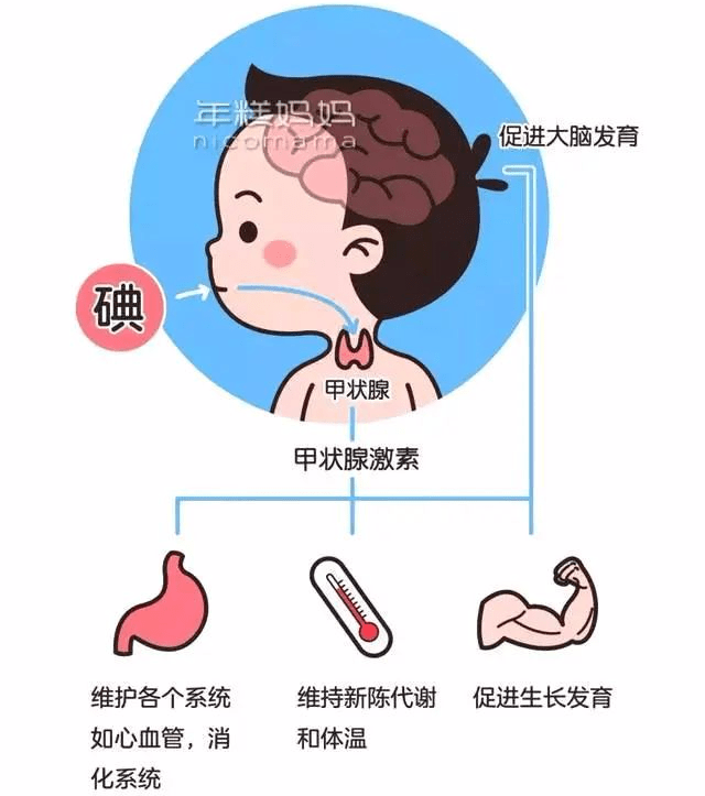 开展碘营养状况监测推进科学补碘策略