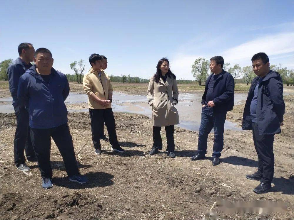 韩秀丽现场指导科左后旗常胜镇秀水河国控断面地表水治理工作