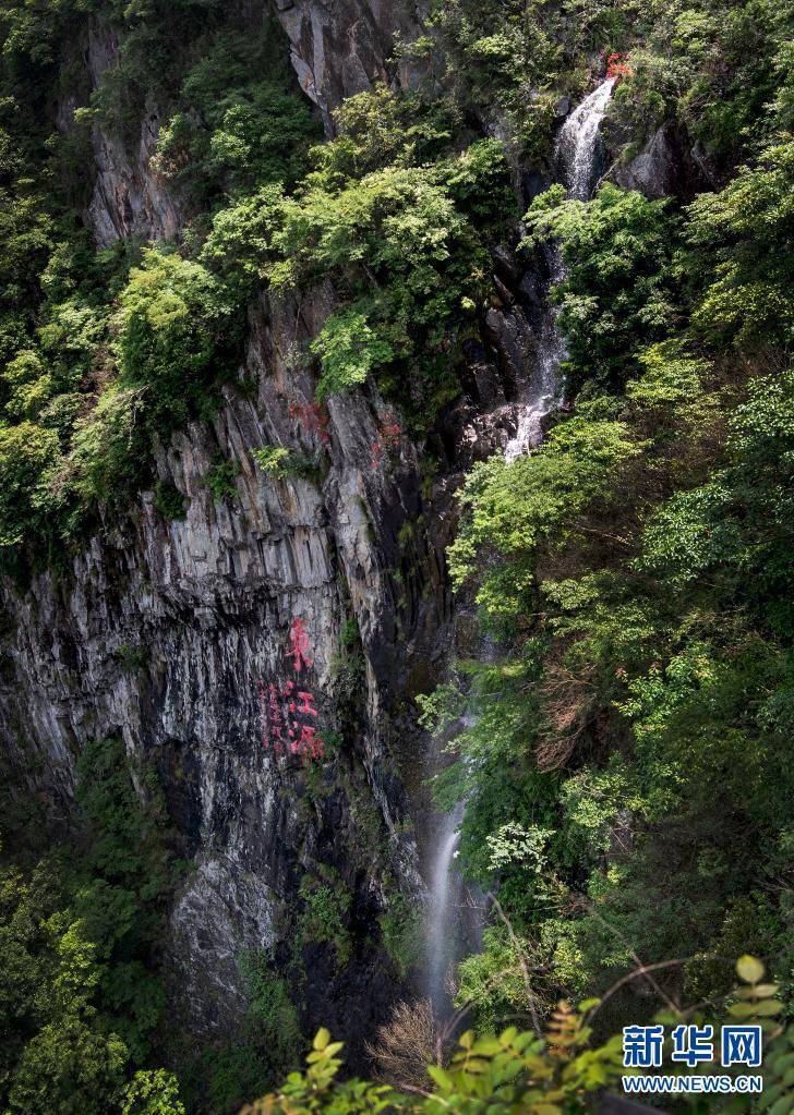 江西省赣州市安远县东南部的三百山景区境内森林覆盖率达98%,集奇峰幽