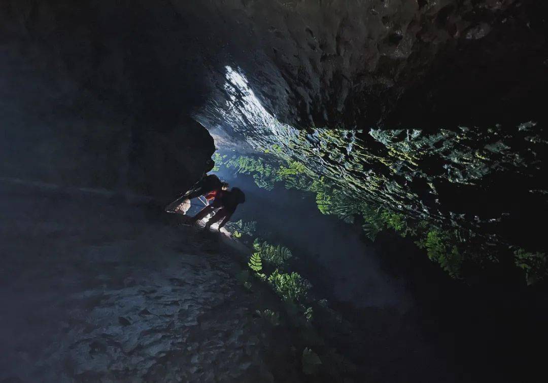 喜讯!fenix与四川洞穴探险队达成战略合作协议