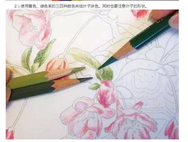 【彩铅手绘】教程 :如何用水溶彩铅描绘出距离感?图文