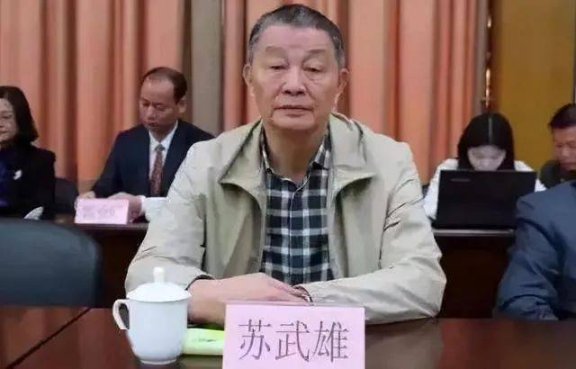 联美集团董事长苏壮强 毫无疑义,城市供热,传媒及房地产并不是苏素玉