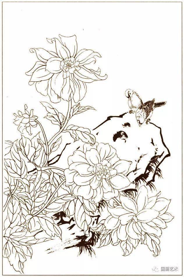 花鸟鱼虫白描画谱4