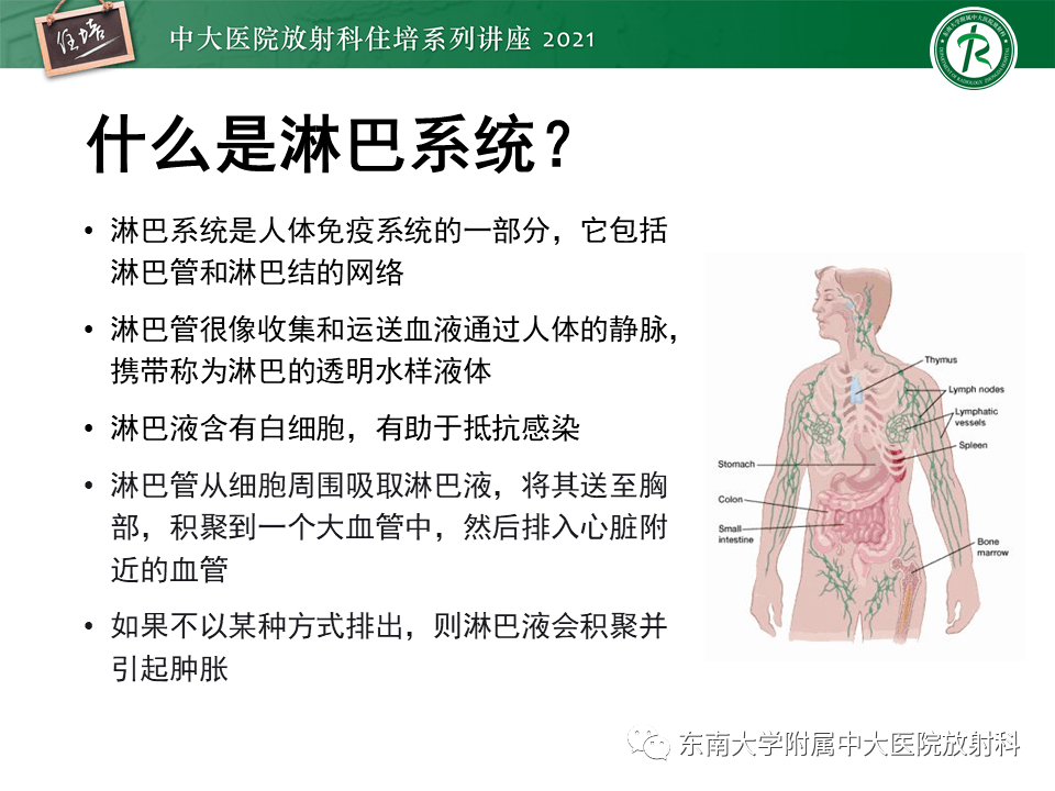 【中大放射住培系列讲座】腹部淋巴结分区及影像分析