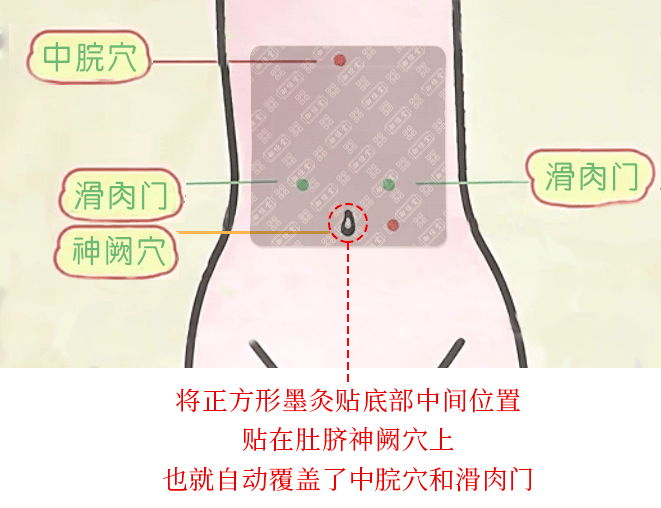 完美覆盖3大"祛湿穴"——中脘穴(祛湿健脾),滑肉门(祛湿胖,瘦腰)和