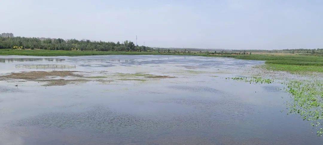 潮白河向阳闸桥段波光粼粼,水天一色