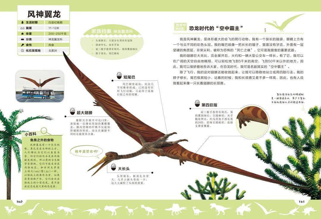 以甲龙为例,图解恐龙的