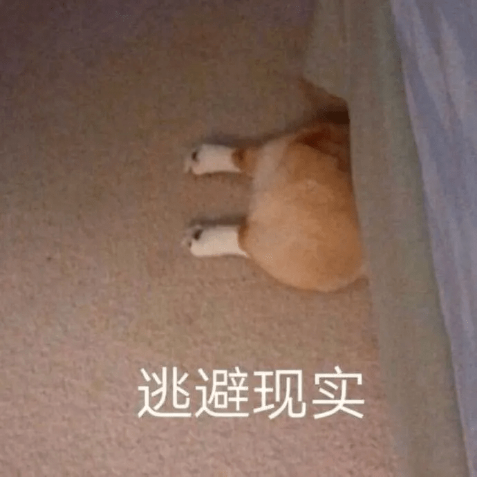 日常表情包 :人家就是想粘着你!