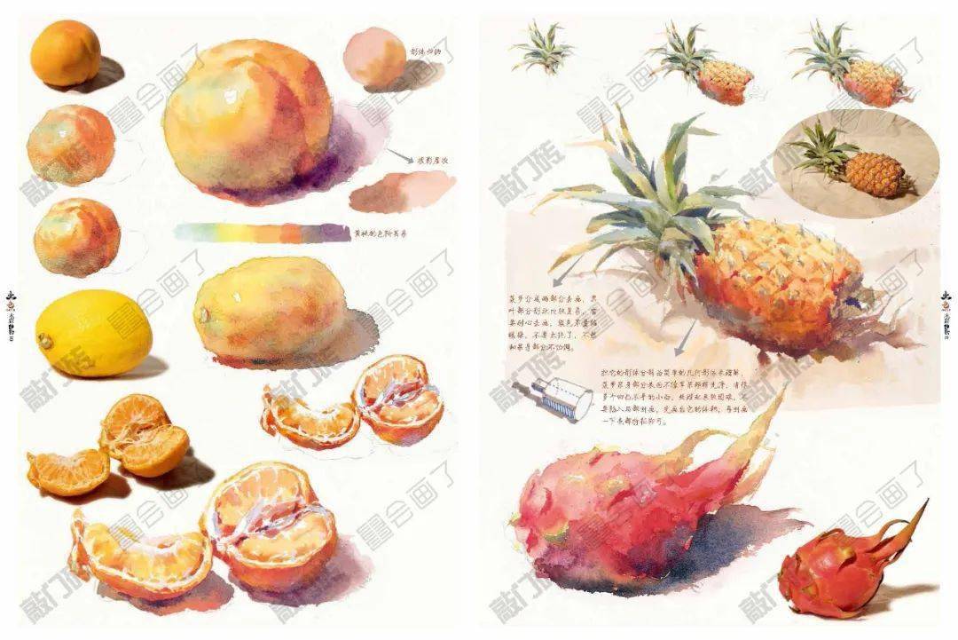卢萌哲出色水彩静物从浅到深通透明澈虚实之间呈现灵动之美与众不同