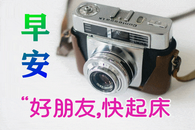 最漂亮早上好动态表情图片大全,早晨好动图美图大全