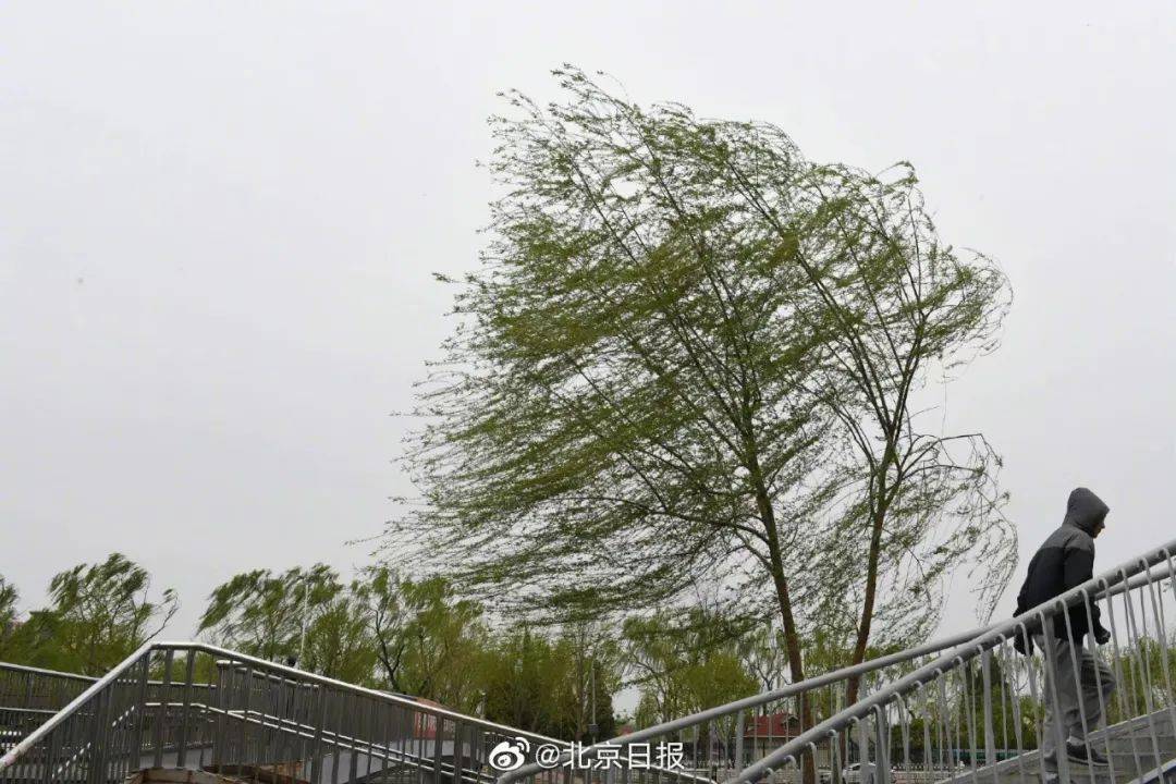 今天北京继续雨伴大风来,注意防风防雨!_图片
