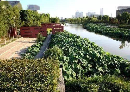 河道湿地景观设计大全 | 附植物种植策略