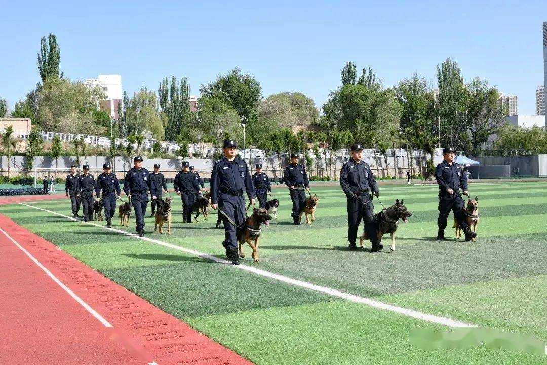 青春警院--【运动会】青海警官职业学院"喜迎建党100周年警务技战术